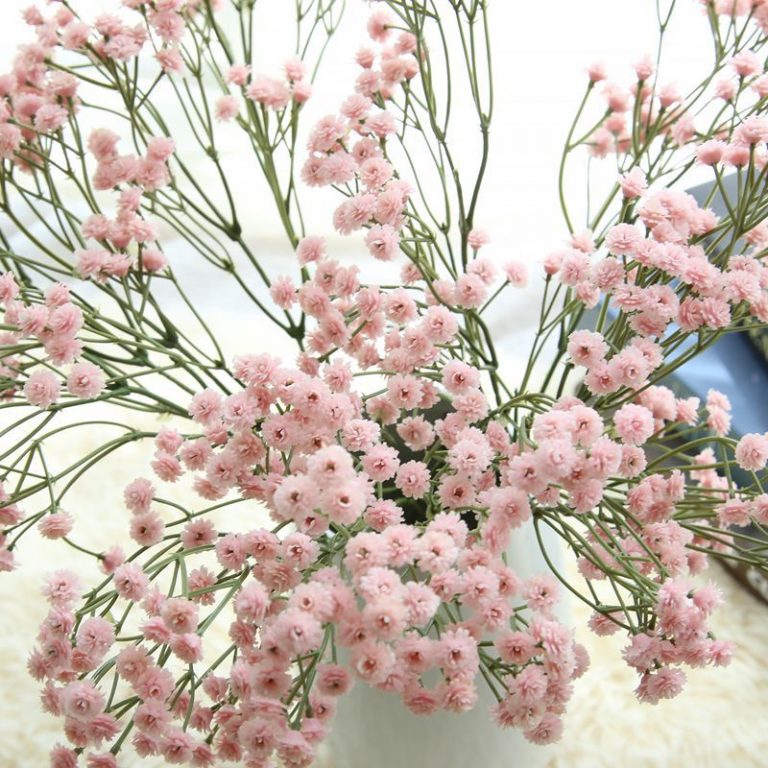gypsophila wedding decoration