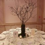 Cheap Wedding Party Decorations that not looks cheap at all Birthday Table Settings Luxury Garden Party Decorations The Perfect