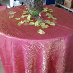 Cheap Wedding Party Decorations that not looks cheap at all Bluegrass Rental Bluegrass Rental Wedding Party Catering
