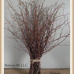 Decorative Twigs For Weddings On Sale 50 Piece Packdecorative White Birch Brancheswedding Branchesrustic Home Decor20 36 Inchesshipping Includeditem Wbb 1100 decorative twigs for weddings|guidedecor.com