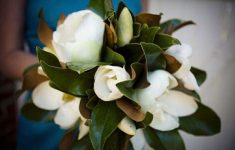 Magnolia Wedding Decorations 3155581776 magnolia wedding decorations|guidedecor.com