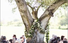 The Inspirations of Wedding Tree Decorations 75 New Photos Of Wedding Tree Decorations Best Wedding Site