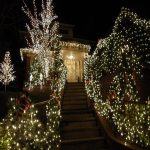 The Inspirations of Wedding Tree Decorations Christmas Light Wedding Triachnid
