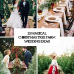 Tree Decorations For Weddings 25 Magical Christmas Tree Farm Wedding Ideas Cover tree decorations for weddings|guidedecor.com