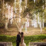 Tree Decorations For Weddings Hanginglights tree decorations for weddings|guidedecor.com