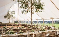 Tree Decorations For Weddings Rustic Summer Tent Wedding With Tall Tree Decoration tree decorations for weddings|guidedecor.com
